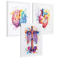 POSTER Set aus 3 Anatomie Mensch Drucke und Wandbilder mit Gehirn Herz Rippen Wirbelsäule Lebendiges Aquarell Design Größe Weißer Rahmen A3 - Weiß, Papier (29.7/42/3cm) - Nacnic
