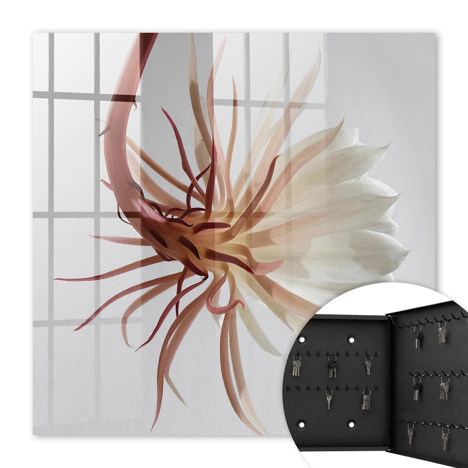 SCHLÜSSELBOX Schwarz 30x30 cm- Türöffnung nach rechts - Die Eleganz der Natur - Creme, Metall (30/30/5cm) - TULUP