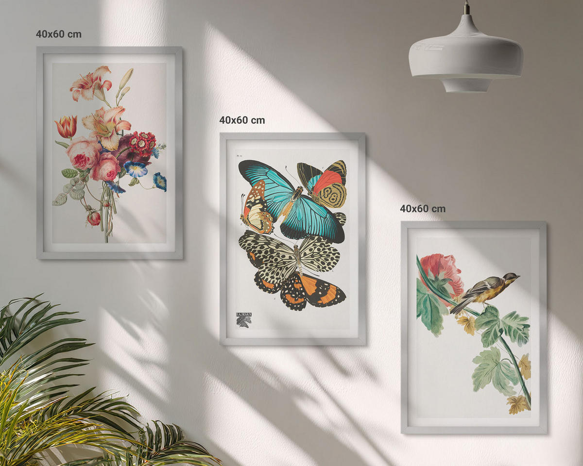 BILDER SET 3er Set - 40x60 cm Silberner Rahmen - Blumen, Schmetterlinge, Vögel, Pastellfarben - Silberfarben, Kunststoff (40/60cm) - TULUP