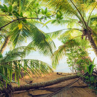 FOTOTAPETE Landschaft 450 x 280 cm - Grün, Papier (450/280cm) - Sanders & Sanders