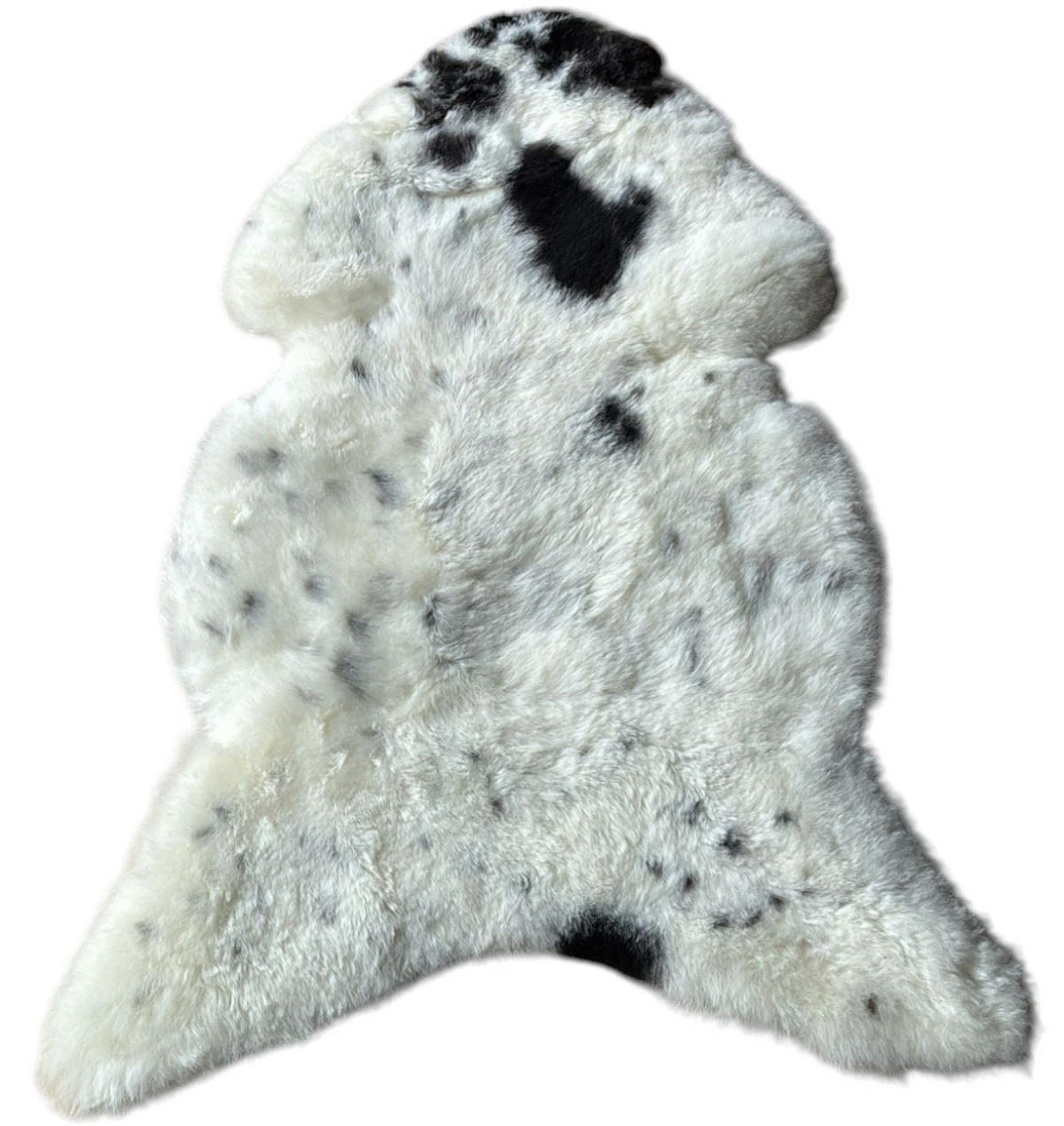 SCHAFFELL Ganzes Island Lammfell Kurzhaarig Naturfarben, 120 cm - Beige/Schwarz, Fell (65/120cm) - Provellus