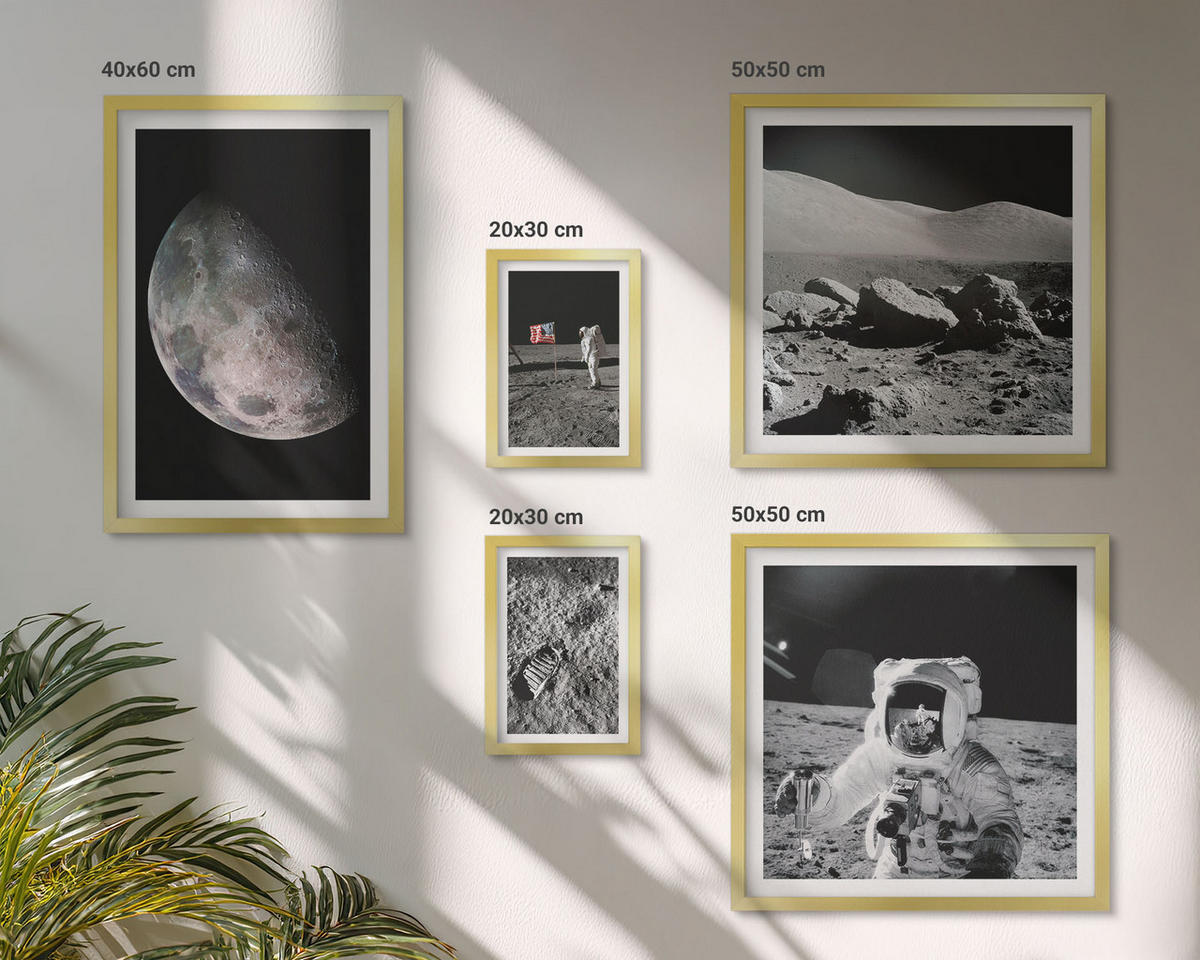 WANDBILDER 5er Set - 50x50 cm & 20x30 cm & 40x60 cm Goldrahmen - Gemälde von Zitronenbäumen - Goldfarben, Kunststoff (40/60cm) - ArtPrintCave