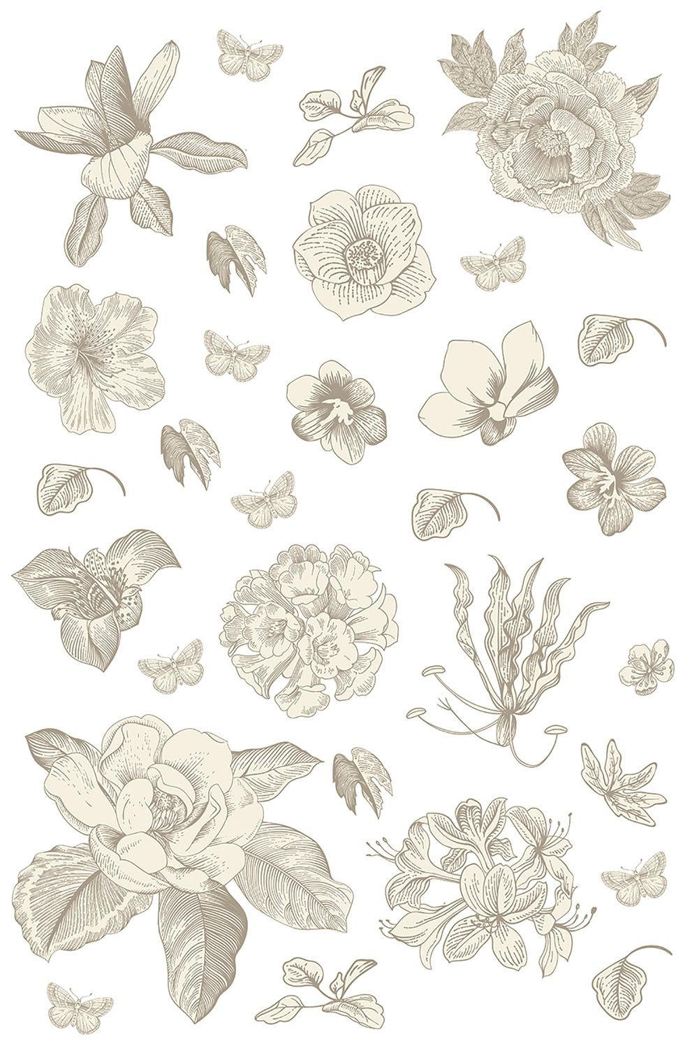 WANDTATTOO Blumen 65 x 42.5 cm - Grau, Papier (65/42.5/42.5cm) - Sanders & Sanders