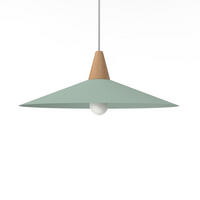 HÄNGELEUCHTE - Grün, Metall (40/40/15cm) - Lumicom