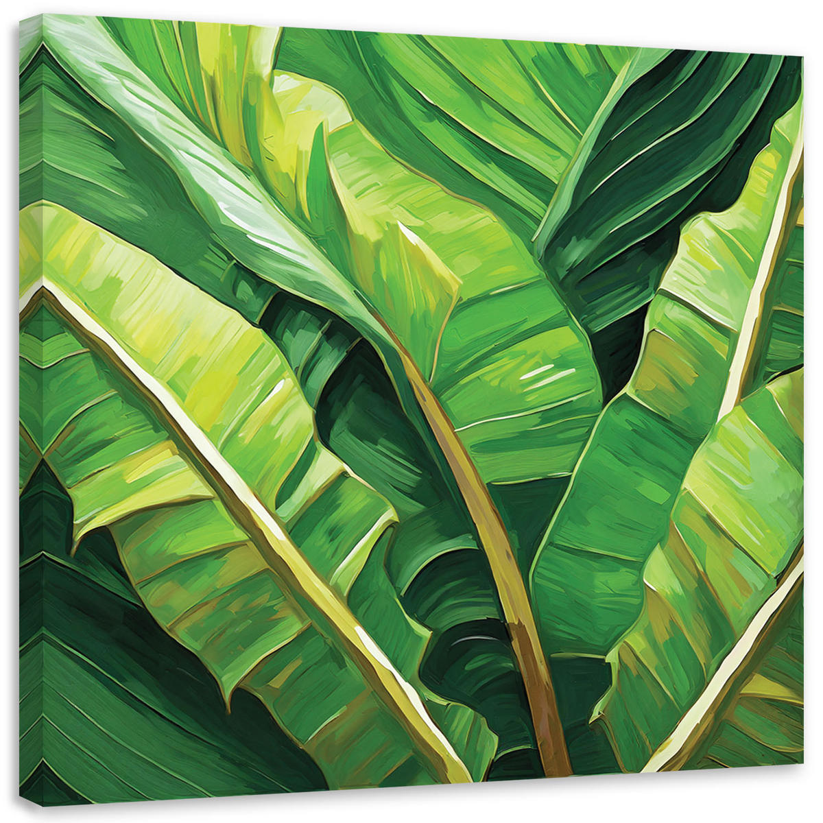 LEINWANDBILD Grüne Bananenblätter - Grün, Textil (30/30cm) - Feeby