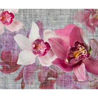 FOTOTAPETE Blumen 375 x 270 cm - Pink, Papier (375/270cm) - Sanders & Sanders