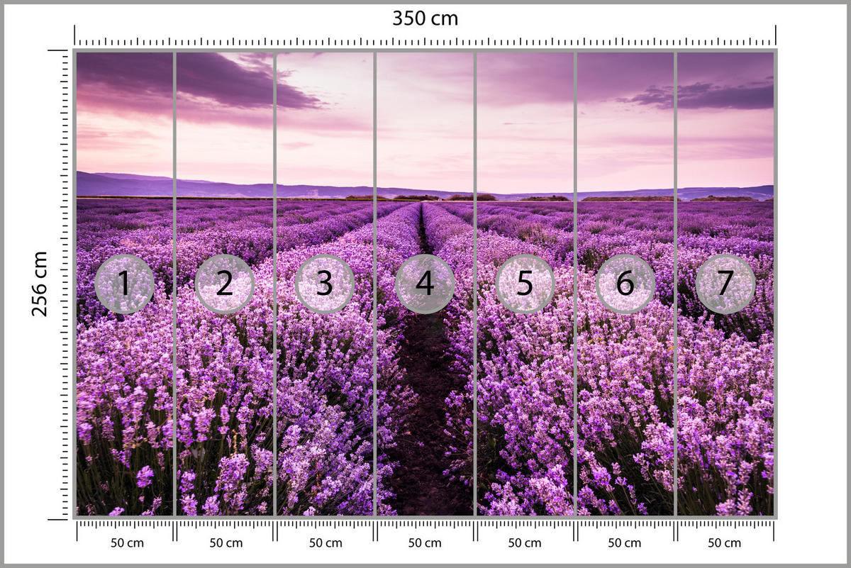 FOTOTAPETE für Schlafzimmer Lila Lavendel Wiese Harmonisch Romantisch 350x256 - Violett/Lila, Papier (350/256cm) - Muralo