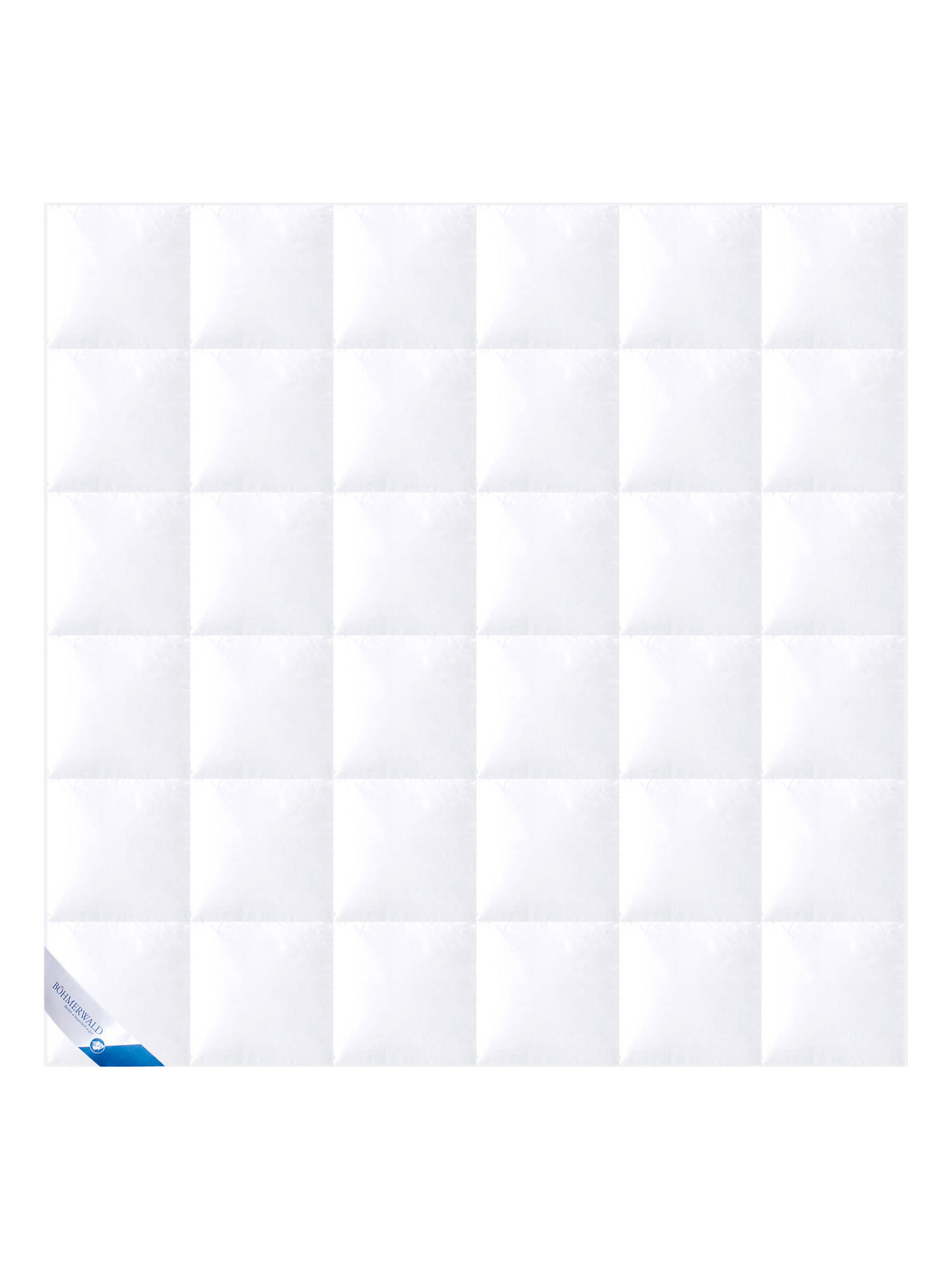 Böhmerwald Winterbettdecke Weiß 200x200 cm