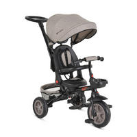 DREIRAD Explore 3 in 1 hellbraun Tricycle umkehrbarer Sitz Schiebegriff Körbe Pedale - Beige, Metall (98/52/111cm)