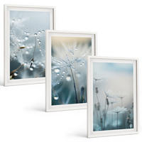 BILDER SET 3er Set - 40x60 cm Weißer Rahmen - Tautropfen auf Löwenzahn - Weiß, Kunststoff (40/60cm) - TULUP