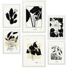 POSTER Set Mit 6 B & W Blumen 2 A3 & A4 Weißer Rahmen - Weiß, Papier (29/3cm) - Nacnic