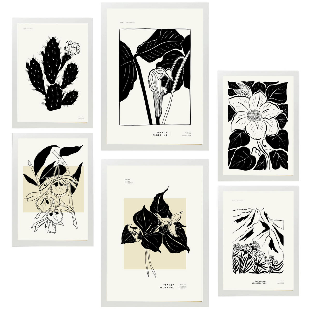 POSTER Set Mit 6 B & W Blumen 2 A3 & A4 Weißer Rahmen - Weiß, Papier (29/3cm) - Nacnic