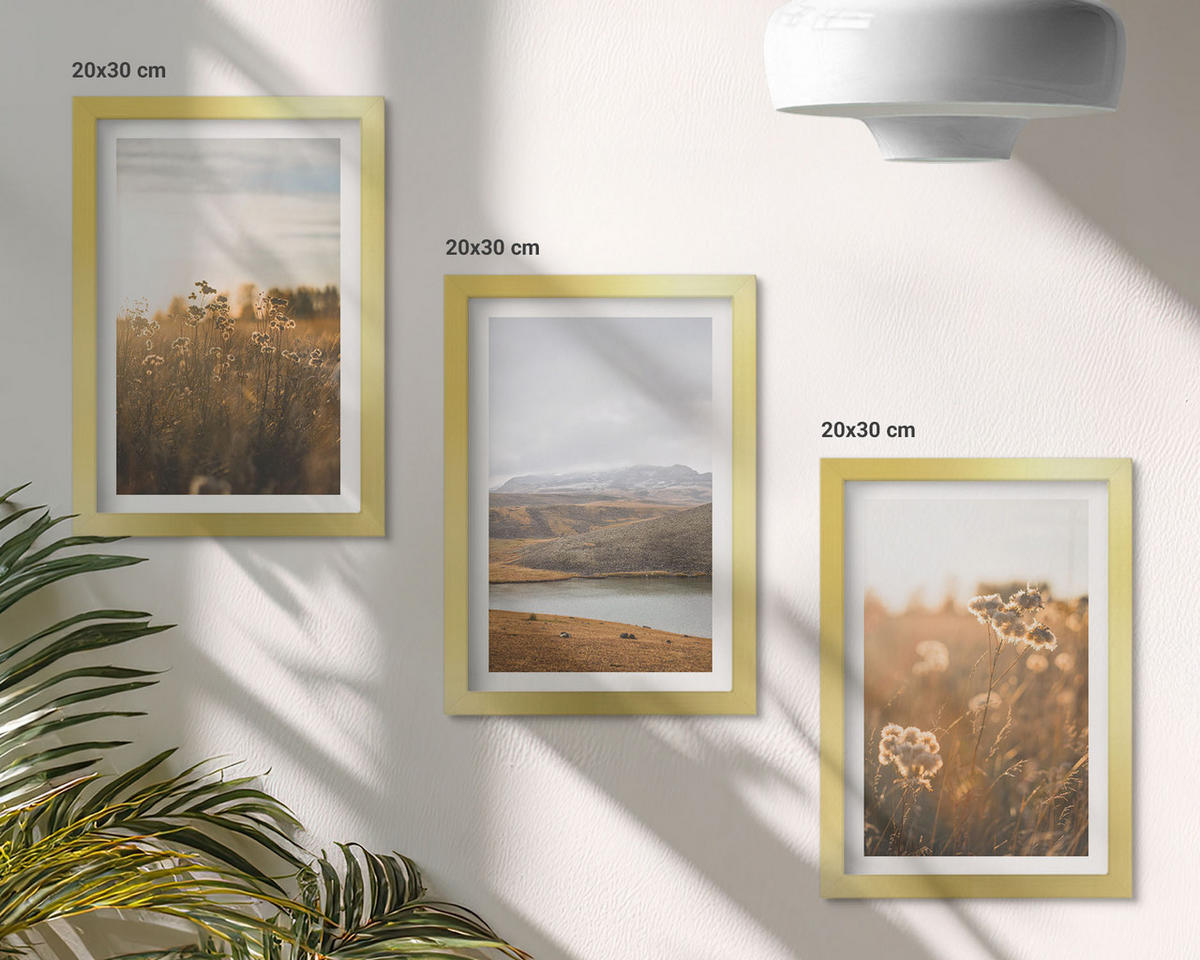 BILDER SET 3er Set - 20x30 cm Goldrahmen - Landschaften Wiesen Berge See - Goldfarben, Kunststoff (20/30cm) - TULUP