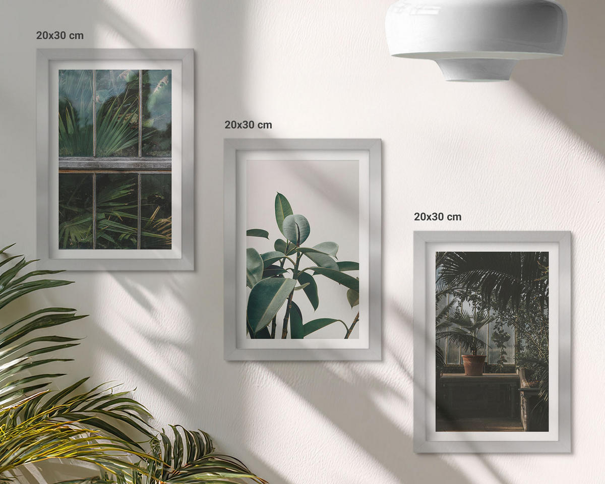 BILDER SET 3er Set - 20x30 cm Silberner Rahmen - Grüne Blätter an der Fensterpflanze - Silberfarben, Kunststoff (20/30cm) - TULUP