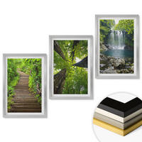 WANDBILDER 3er Set - 40x60 cm Silberner Rahmen - Pfad Wald Wasserfall Vegetation - Silberfarben, Kunststoff (40/60cm) - ArtPrintCave