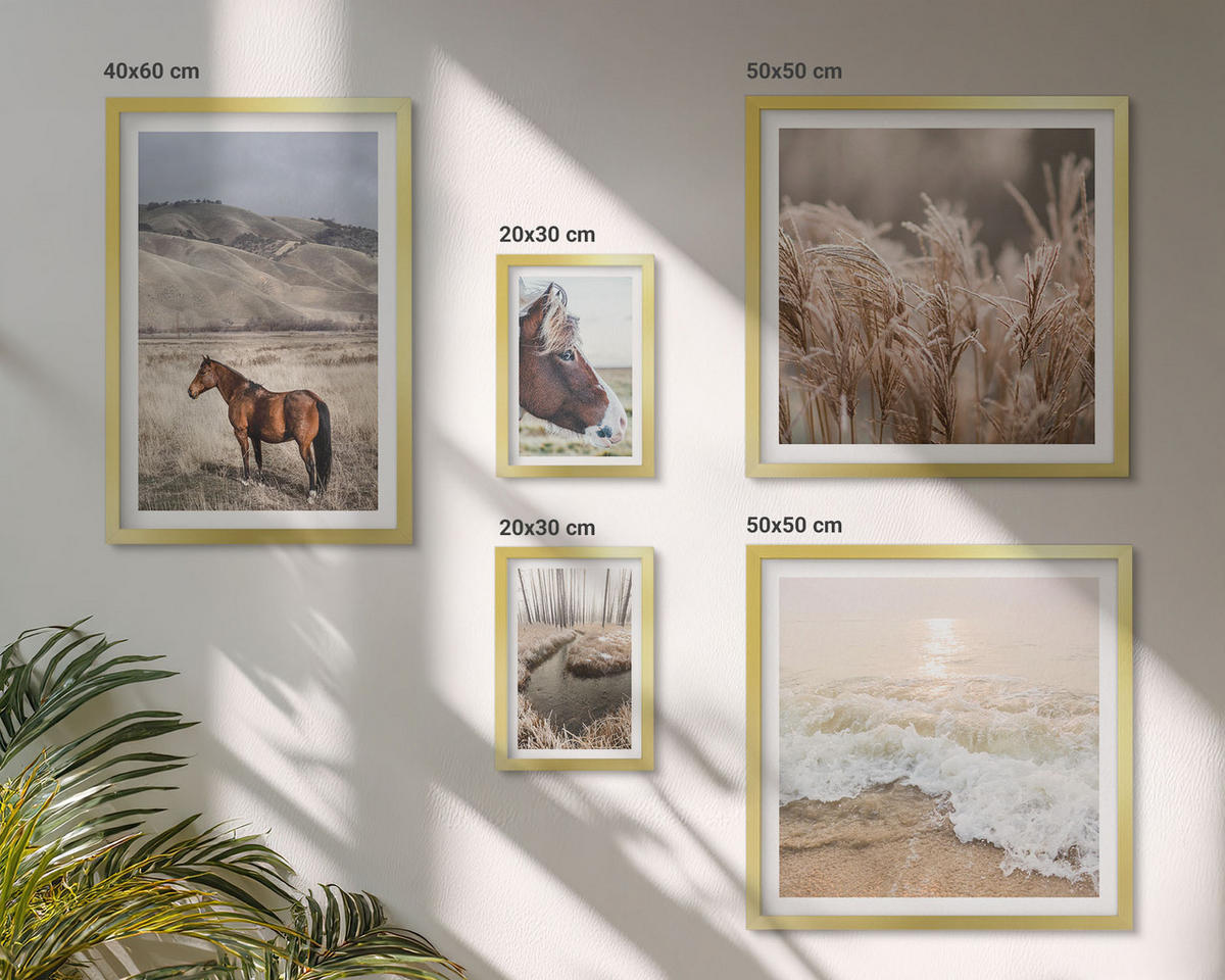 BILDER SET 5er Set - 50x50 cm & 20x30 cm & 40x60 cm Goldrahmen - Pferdelandschaft Seegraswald - Goldfarben, Kunststoff (40/60cm) - TULUP