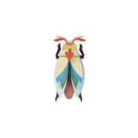 WANDDEKO Bernstein-Schildkäfer 7/27.5 cm - Multicolor, Wellpappe (7/27.5/12cm) - KUNSTLOFT