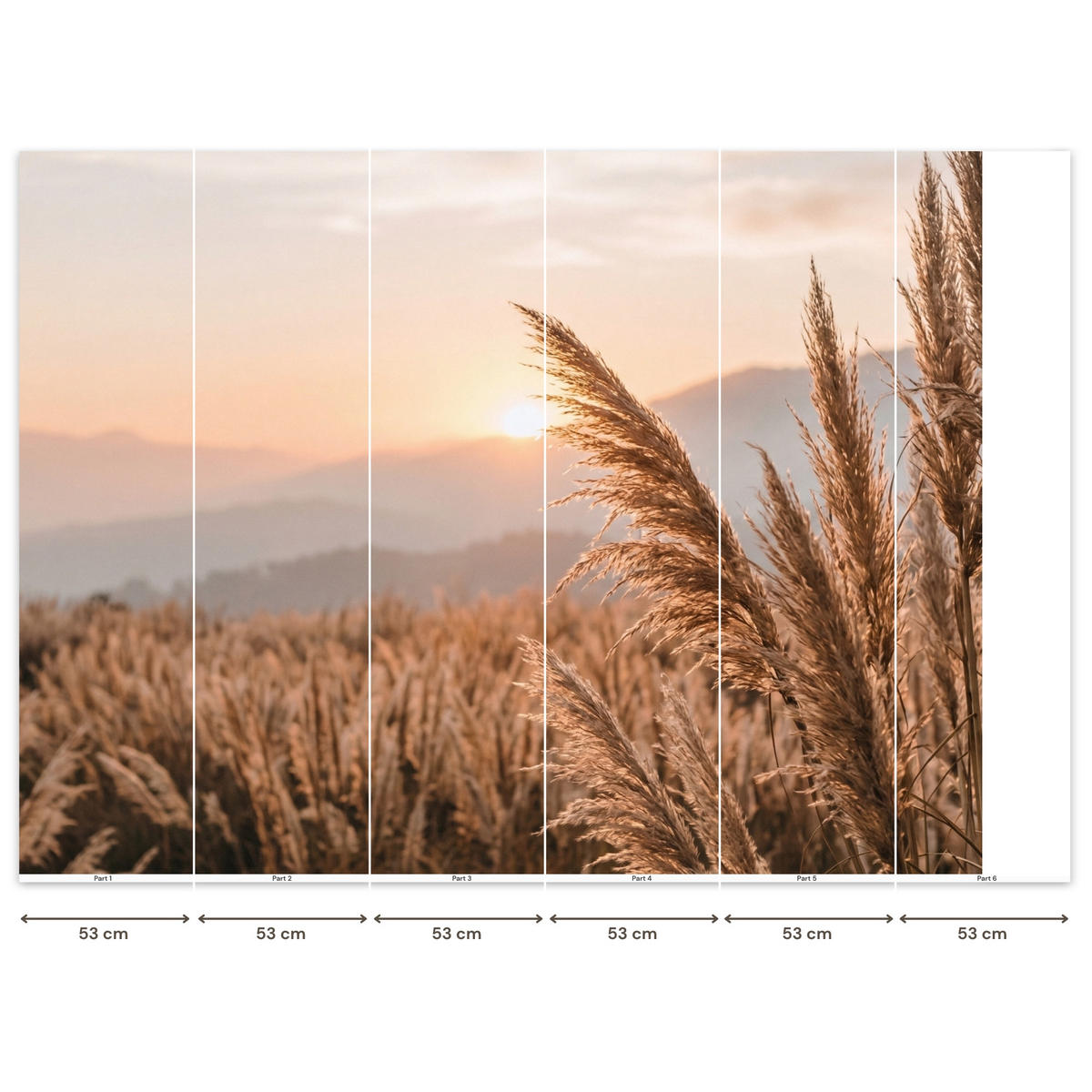 TAPETE - Gras - Feld - Sonne - Natur - 260x200 cm - Sandfarben, Papier (260/200cm) - OnlyWow