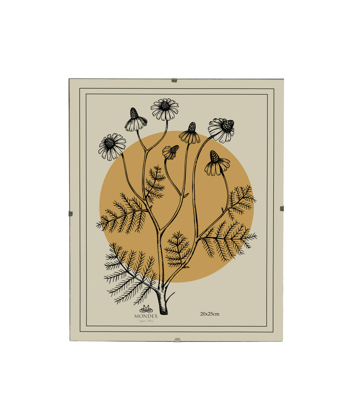 BILDERRAHMEN Adi Transparent 20x25x0.3 cm Kunststoff - Transparent, Kunststoff (0.3/25/20cm) - Mondex