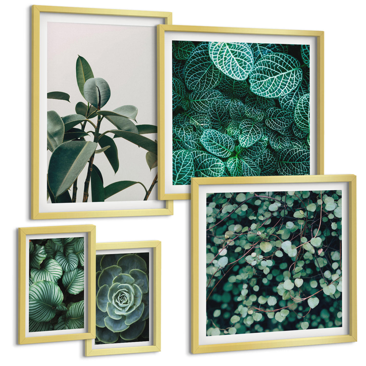 BILDER SET 5er Set - 50x50 cm & 20x30 cm & 40x60 cm Goldrahmen - Grüne Wälder, kristallklares Wasser - Goldfarben, Kunststoff (40/60cm) - TULUP