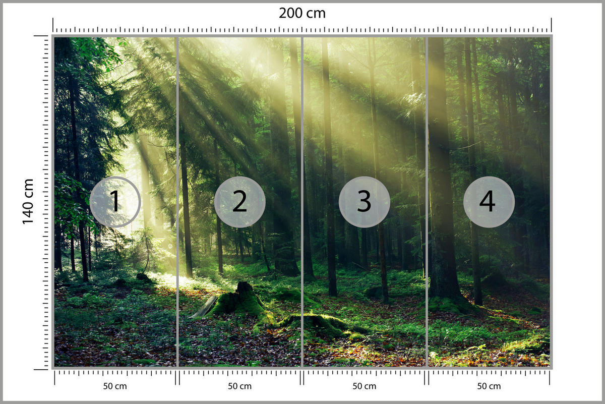 FOTOTAPETE für Schlafzimmer Sonnenaufgang Wald Bäume Moos 200x140 - Gelb/Braun, Papier (200/140cm) - Muralo