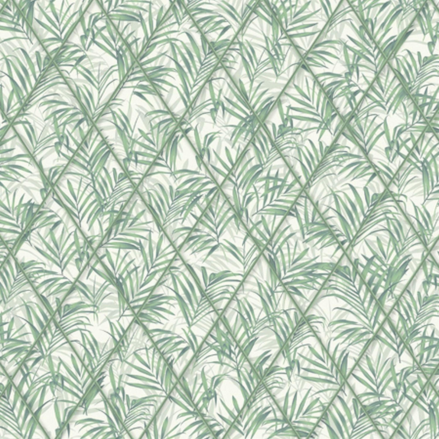 FOTOTAPETE Palmblätter 424 x 280 cm - Grün, Papier (424/280cm) - Sanders & Sanders
