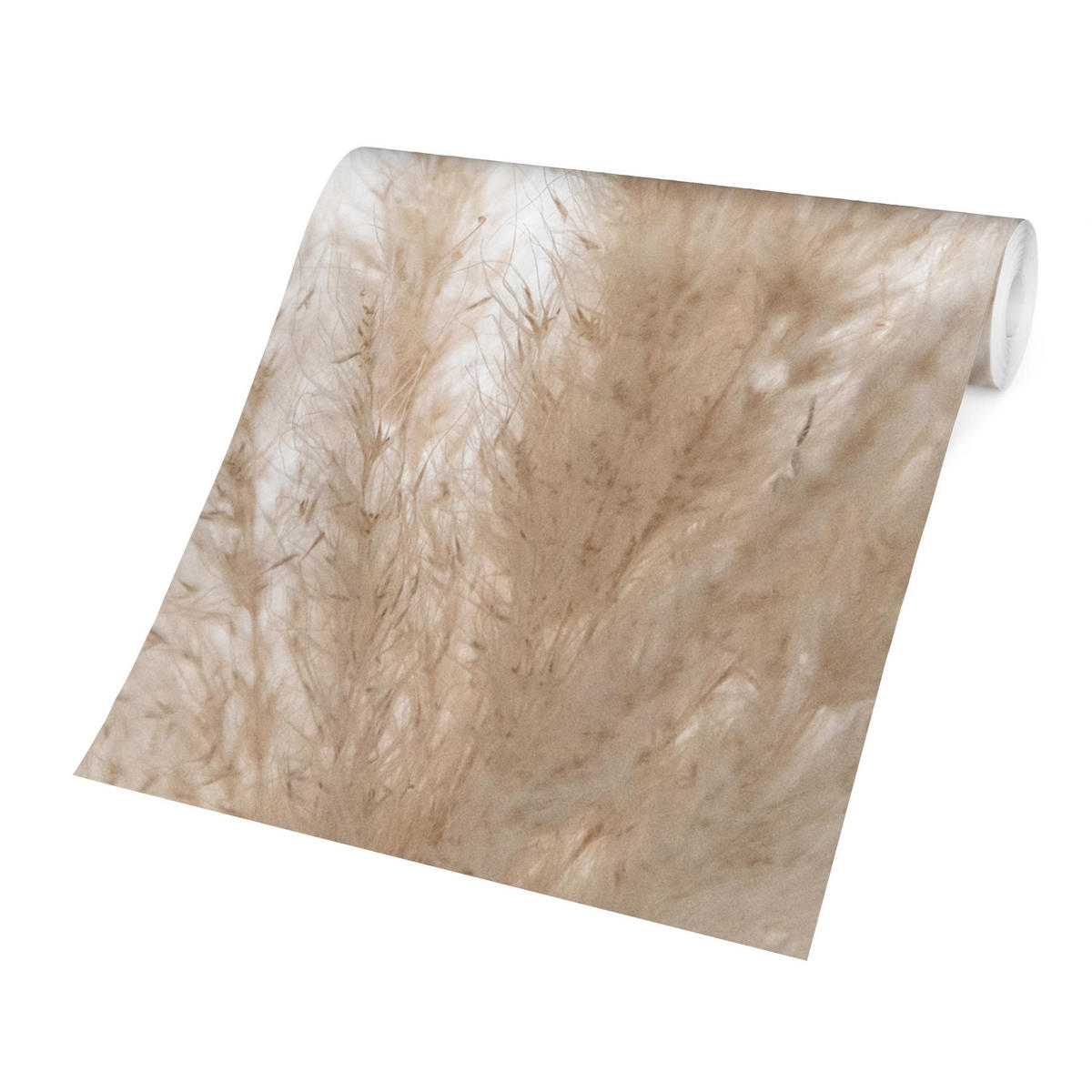 FOTOTAPETE Zartes Pampasgras Close Up 336/225 cm - Eichefarben, Papier (336/225cm) - Bilderwelten