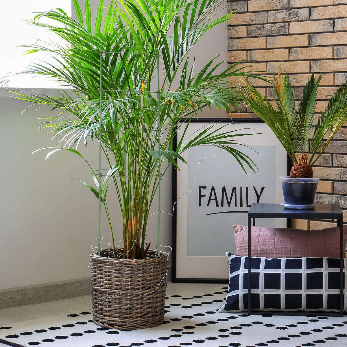 2XRANKHILFE - Dunkelgrün, Kunststoff/Metall (28/91/28cm) - Relaxdays