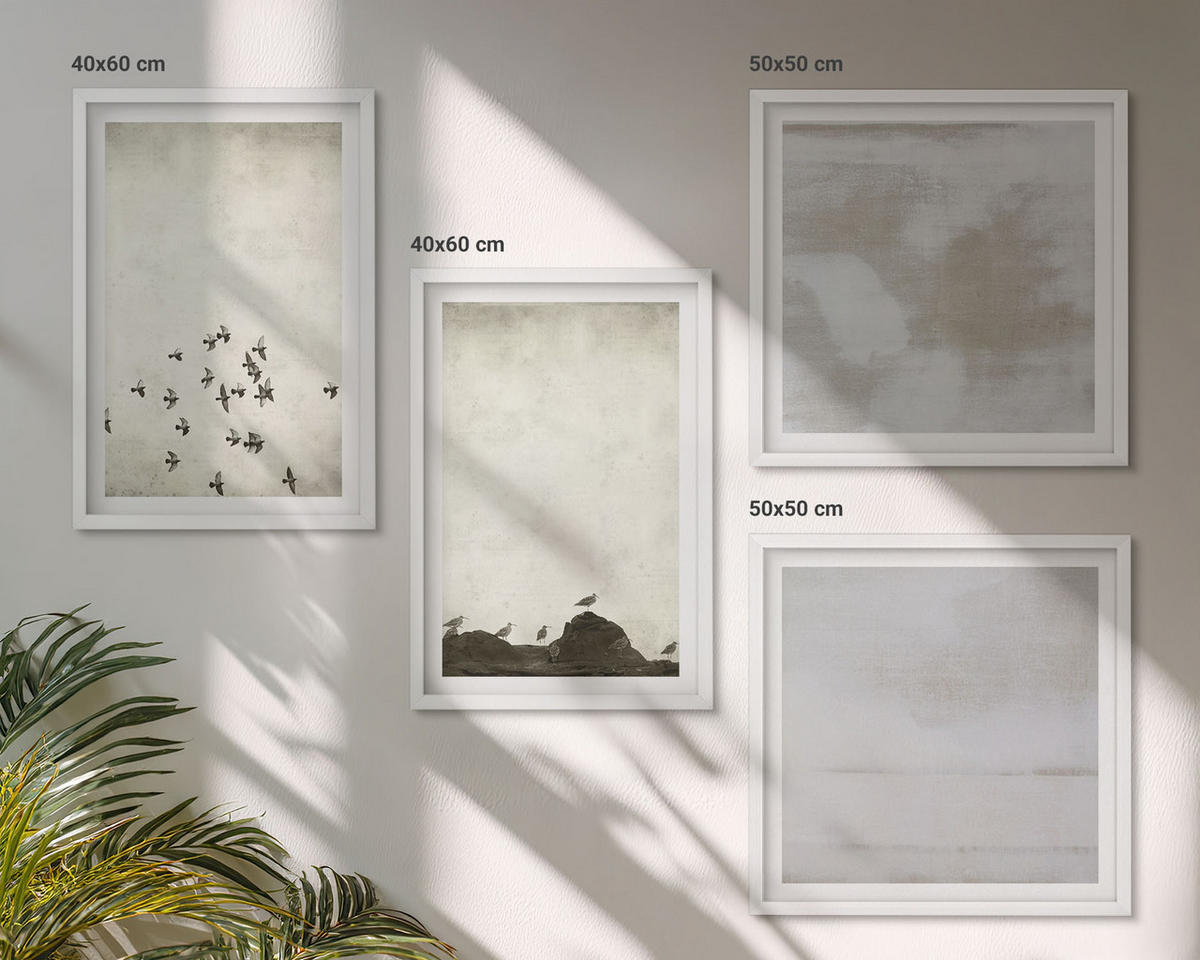 WANDBILDER 4er-Set - 50x50 cm & 40x60 cm Weißer Rahmen - Minimalistische Vögel im Flug - Weiß, Kunststoff (50/50cm) - ArtPrintCave