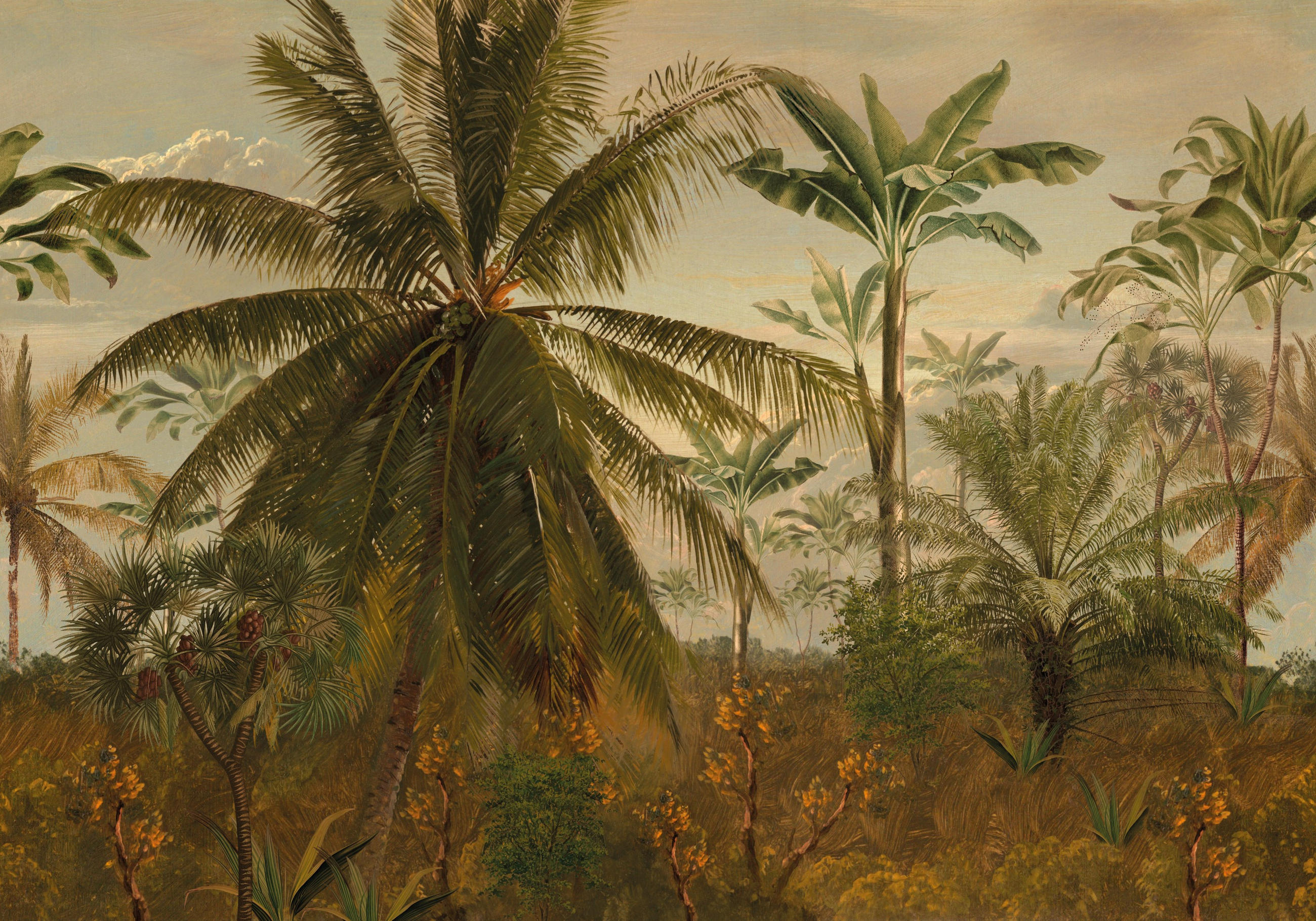 FOTOTAPETE - Dschungel Morgensonne - Gelb/Grün, Papier/Kunststoff (350/270cm) - LOOKS by W.Joop