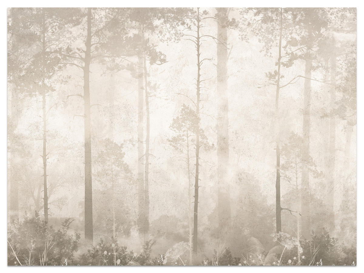 FOTOTAPETE für Wohnzimmer Nebliger Wald Vintage Bäume 350x256 - Beige/Braun, Papier (350/256cm) - Muralo