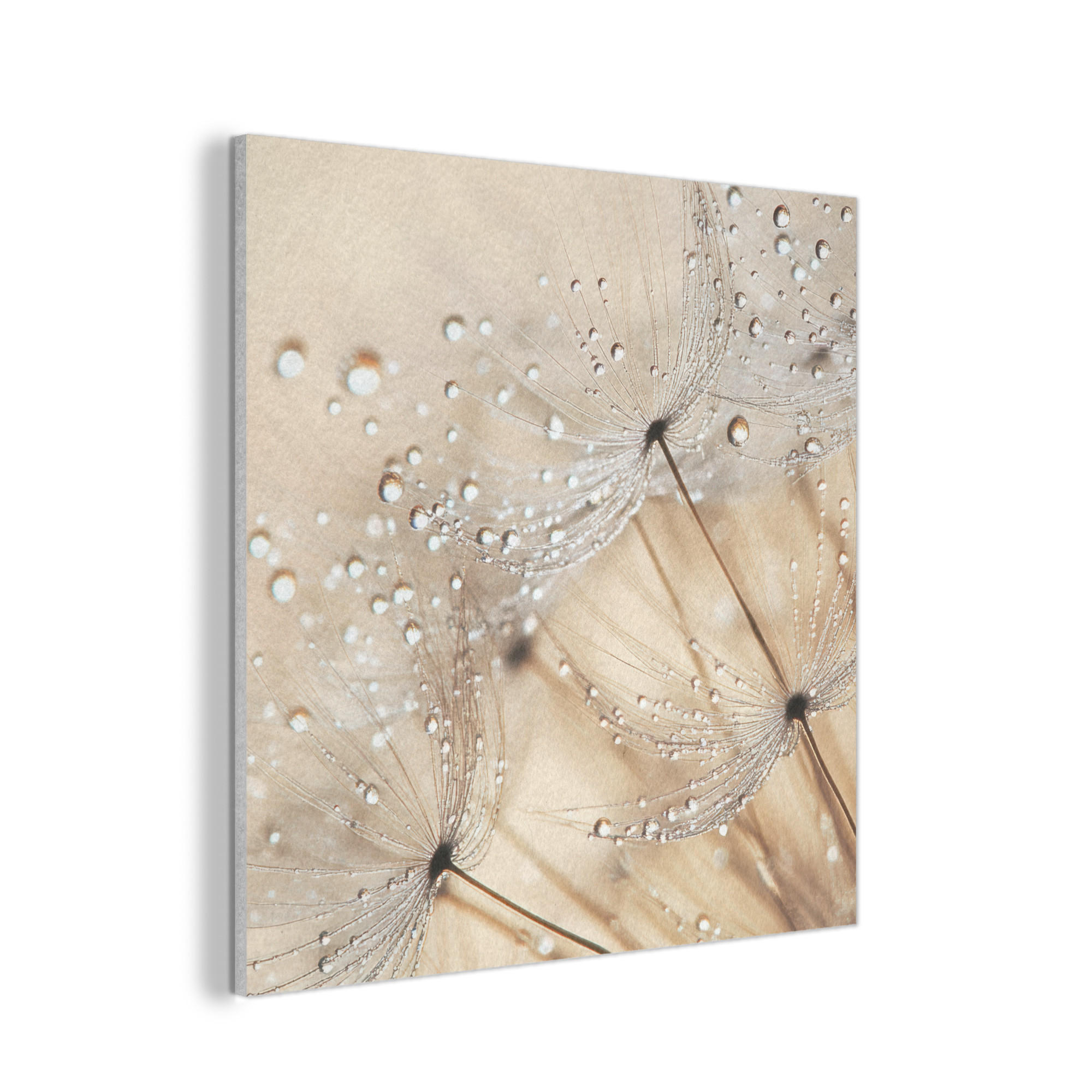 AKUSTIKPANEEL Löwenzahn - Abstrakt - Natur - Beige 90x90 cm - Braun, Textil (90/0.9/90cm) - MuchoWow