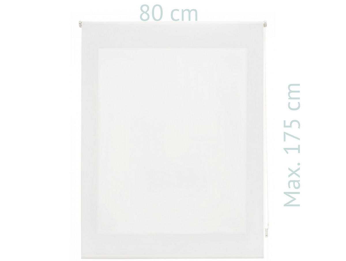 ROLLO Polyester Transluzent Grauweiß 80x175 - Hellgrau, Textil (80/175/1cm) - Purline
