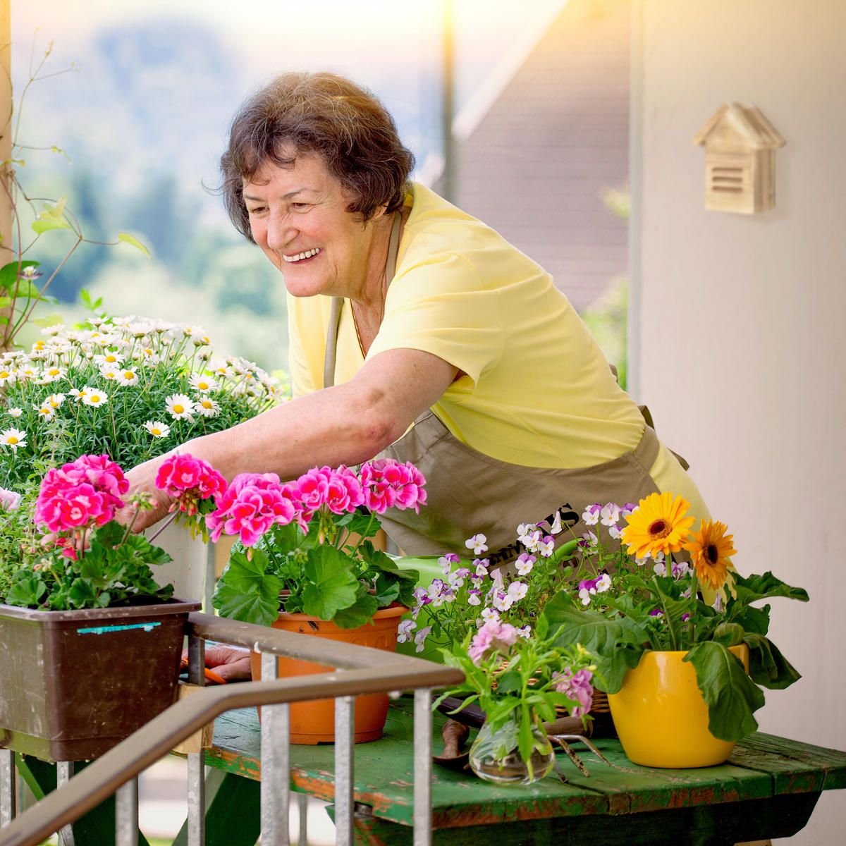 MARIENKÄFERHAUS - Multicolor, Holz (17/23/12cm) - Relaxdays