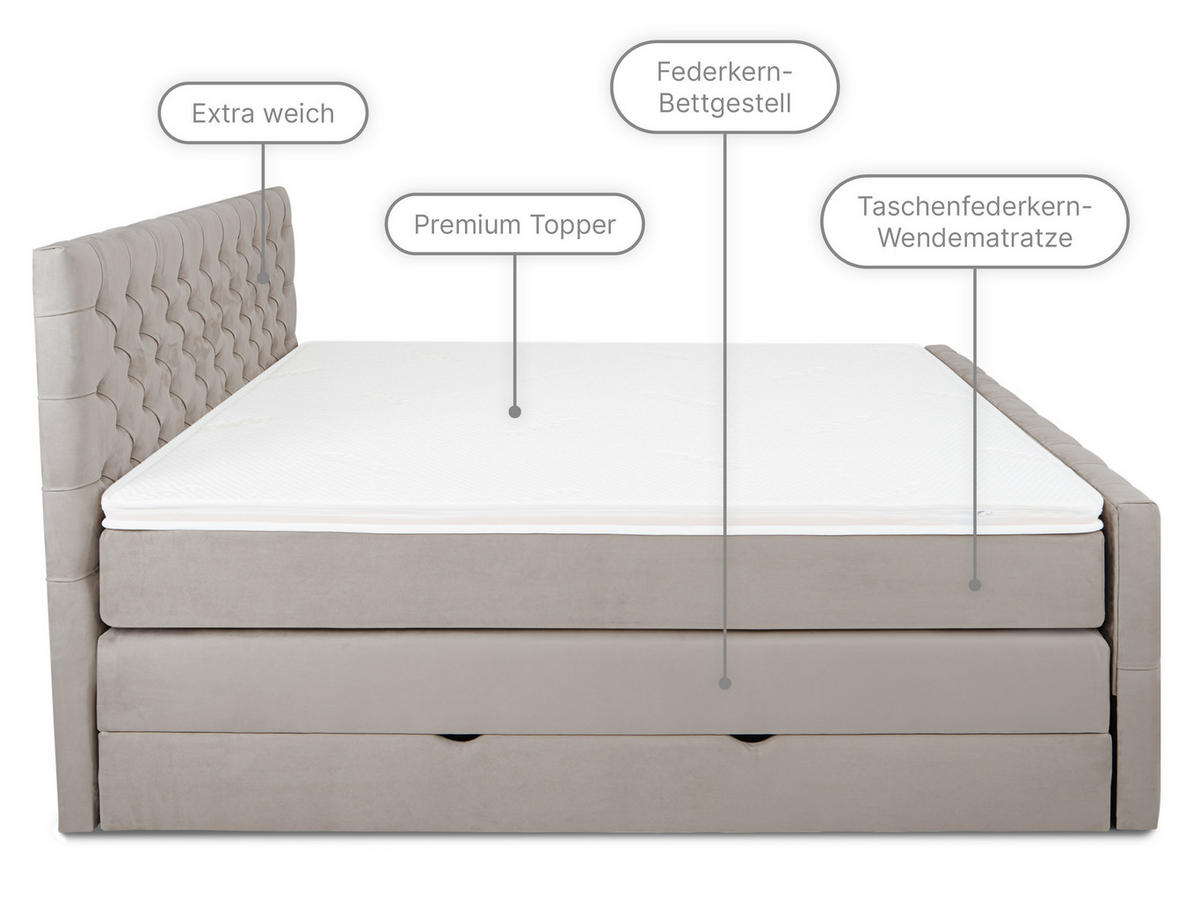 BOXSPRINGBETT Victoria Grau 160 /200 cm H2/H3 Samt - Grau, Textil (160/200cm) - wonello