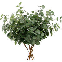 KUNSTPFLANZE Eukalyptus 6er Set 60 cm - Grün, Kunststoff (60cm)