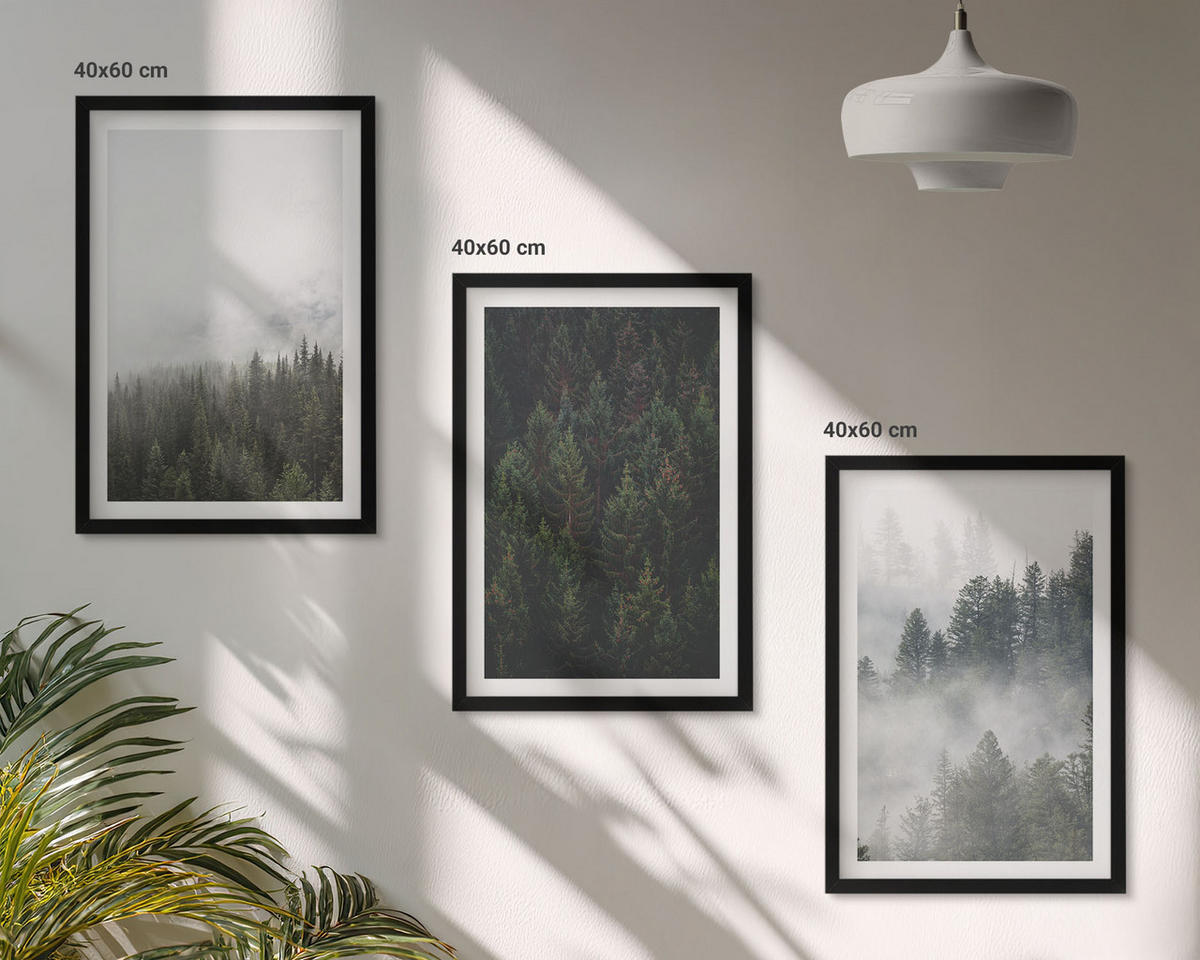 BILDER SET 3er Set - 40x60 cm Schwarzer Rahmen - Grüne Wälder Nebel Natur - Schwarz, Kunststoff (40/60cm) - TULUP
