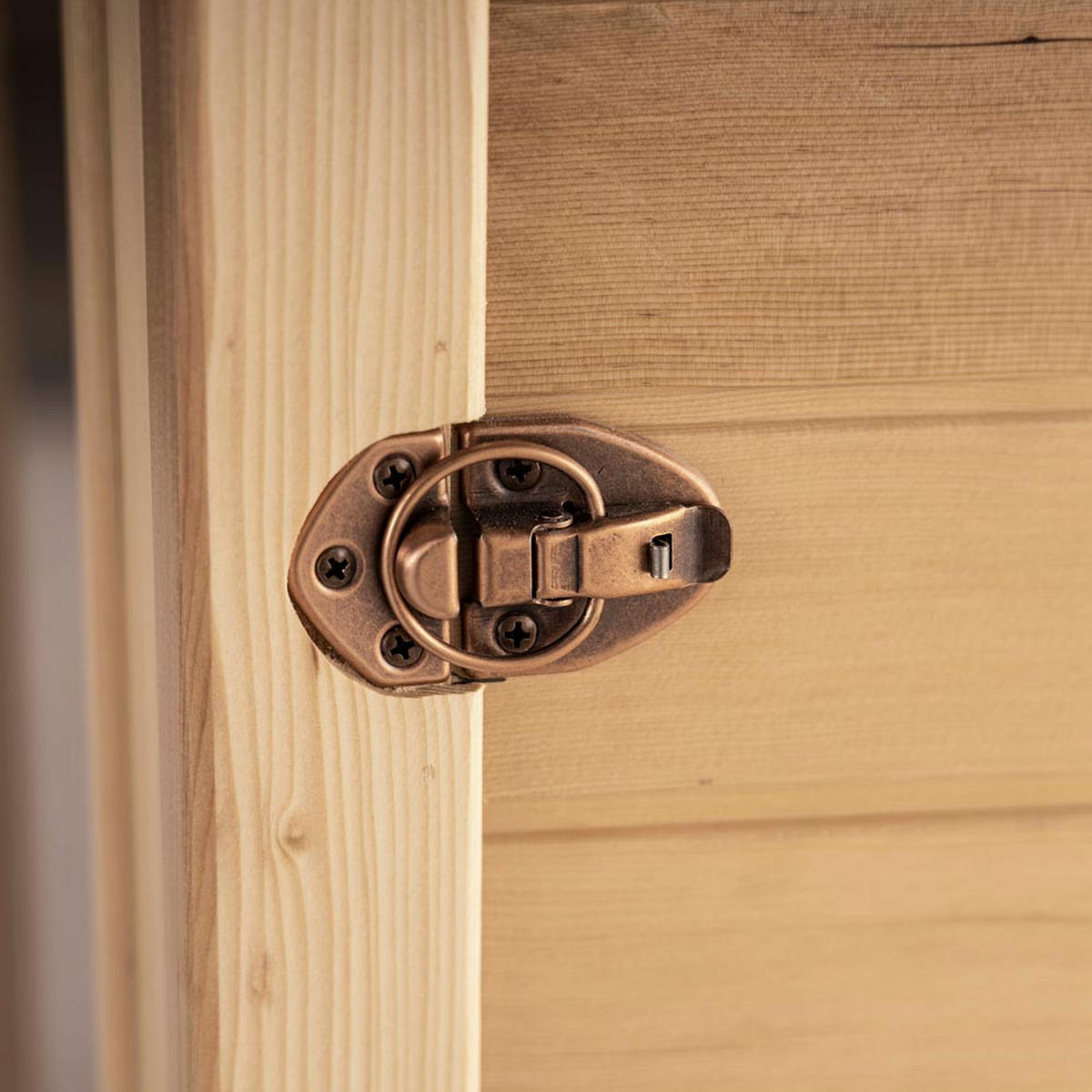 INFRAROTKABINE REDSUN M - mit Vollspektrumstrahler - Braun, Holz (120/190/105cm) - Home Deluxe