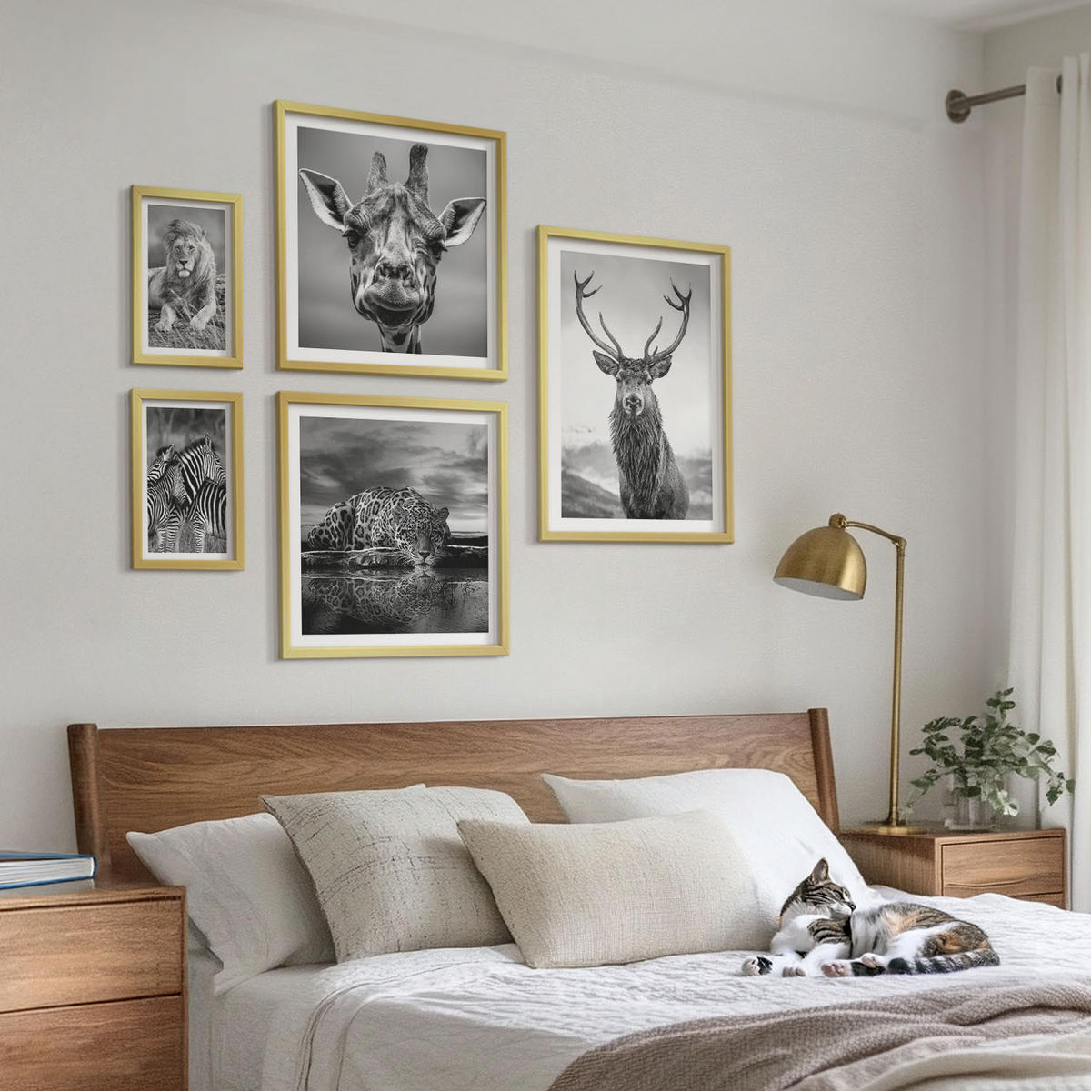 WANDBILDER 5er Set - 50x50 cm & 20x30 cm & 40x60 cm Goldrahmen - Wildtiere Löwe Jaguar Giraffe Zebras - Goldfarben, Kunststoff (40/60cm) - ArtPrintCave