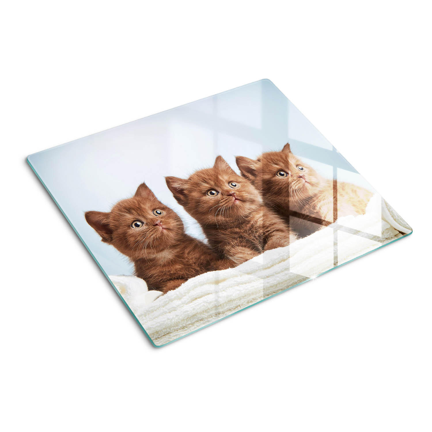 GLASPLATTE 60x52 cm Kätzchenhandtuch - Mokka, Glas (60/52cm) - TULUP