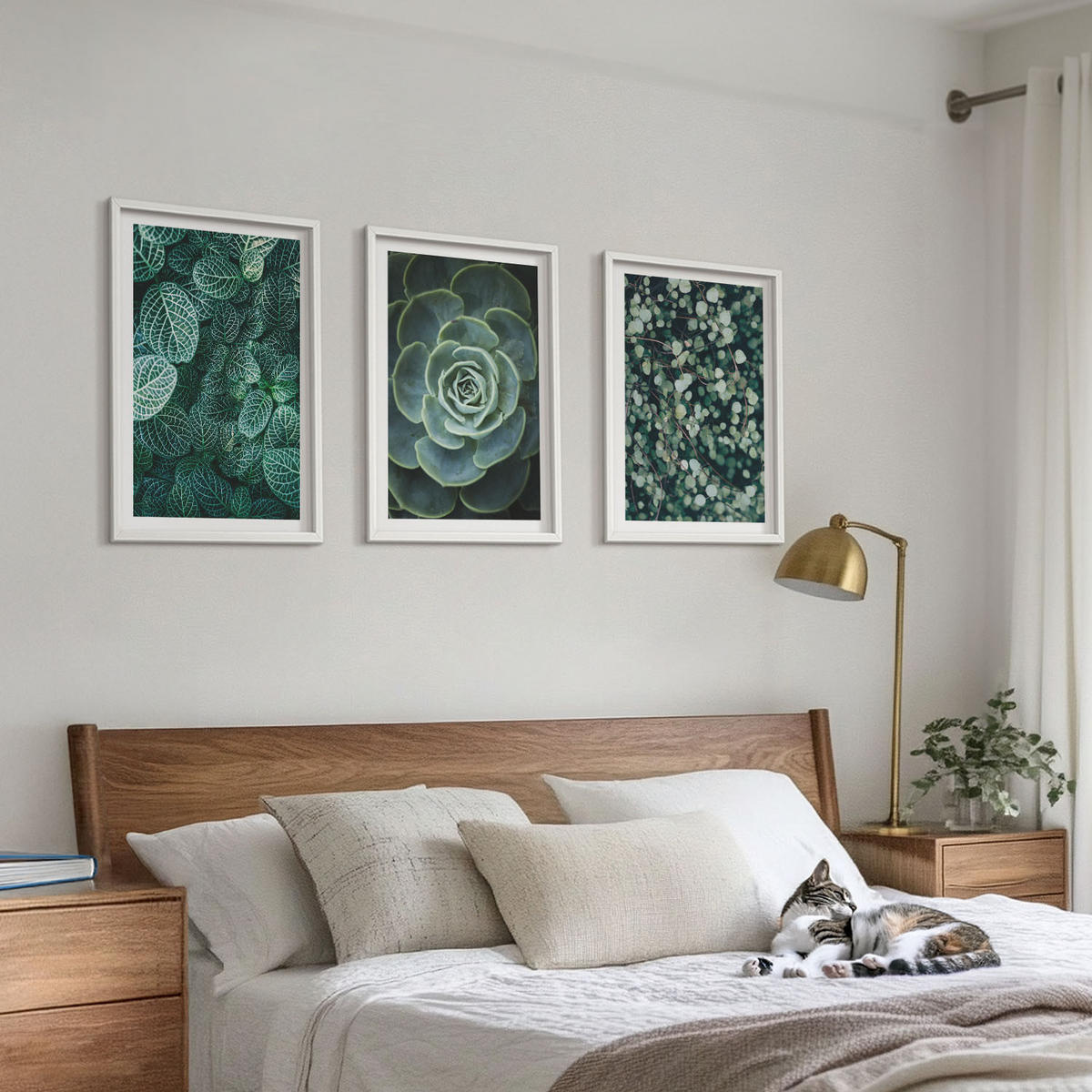 WANDBILDER 3er-Set - 40x60 cm Weißer Rahmen - Sukkulenten - Weiß, Kunststoff (40/60cm) - ArtPrintCave