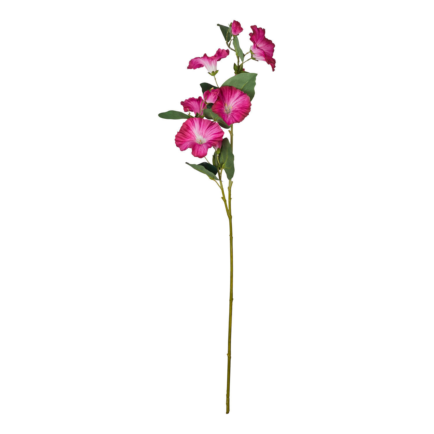 KUNSTBLUME Florista Prunkwinde in beere - Beere, Kunststoff (76cm) - Butlers