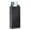 SCHUHSCHRANK Lavia Front in Schwarz mattt - Schwarz, Holzwerkstoff (46/128/23cm) - Vladon