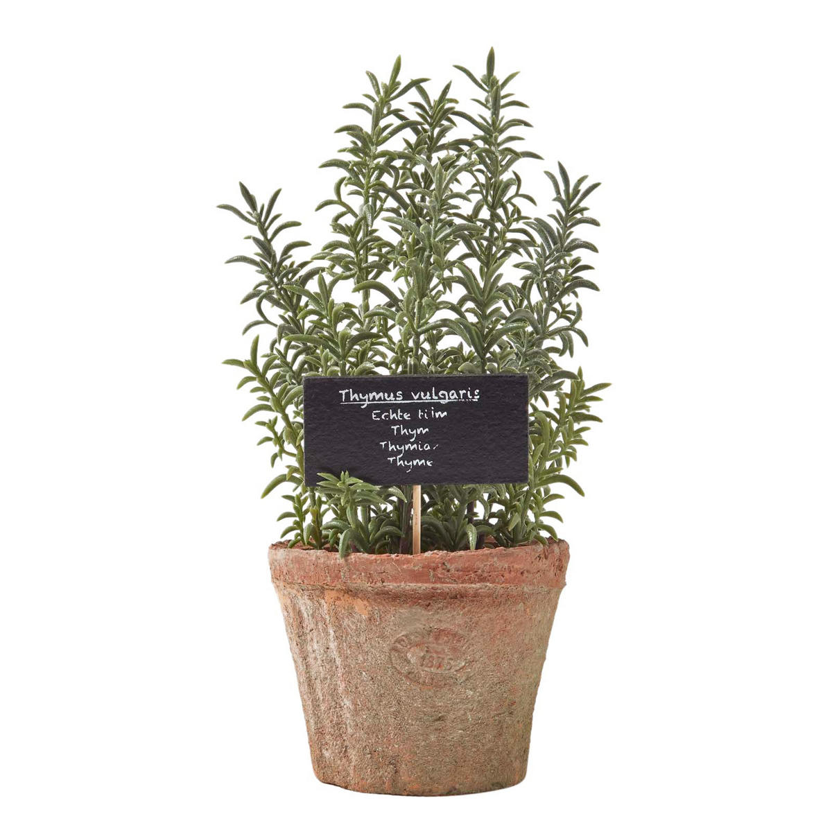 KUNSTPFLANZE Thymian im Terrakotta-Topf, 16 cm - Grün, Kunststoff (16cm) - Homescapes