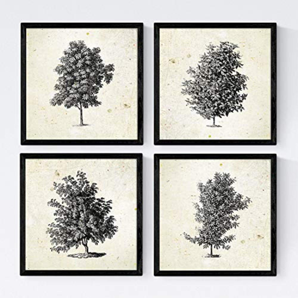 POSTER Set mit 4 Bädern Bäume miese Zweige Weinlese Altpapierhintergrund 20x20cm Schwarzer Rahmen - Schwarz, Papier (20/3cm) - Nacnic