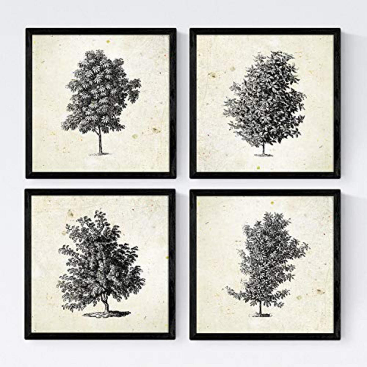 POSTER Set mit 4 Bädern Bäume miese Zweige Weinlese Altpapierhintergrund 20x20cm Rahmenlos - Klar, Papier (20/3cm) - Nacnic