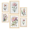 POSTER Set Mit 6 Hellrosa Blumen Vollfarbige Natur Und Botanikdrucke Mit Blumenmotiven Auf Reinweißen Hintergründen A3 & A4 Rahmen Aus Hellem Holz - Beige, Papier (29/3cm) - Nacnic