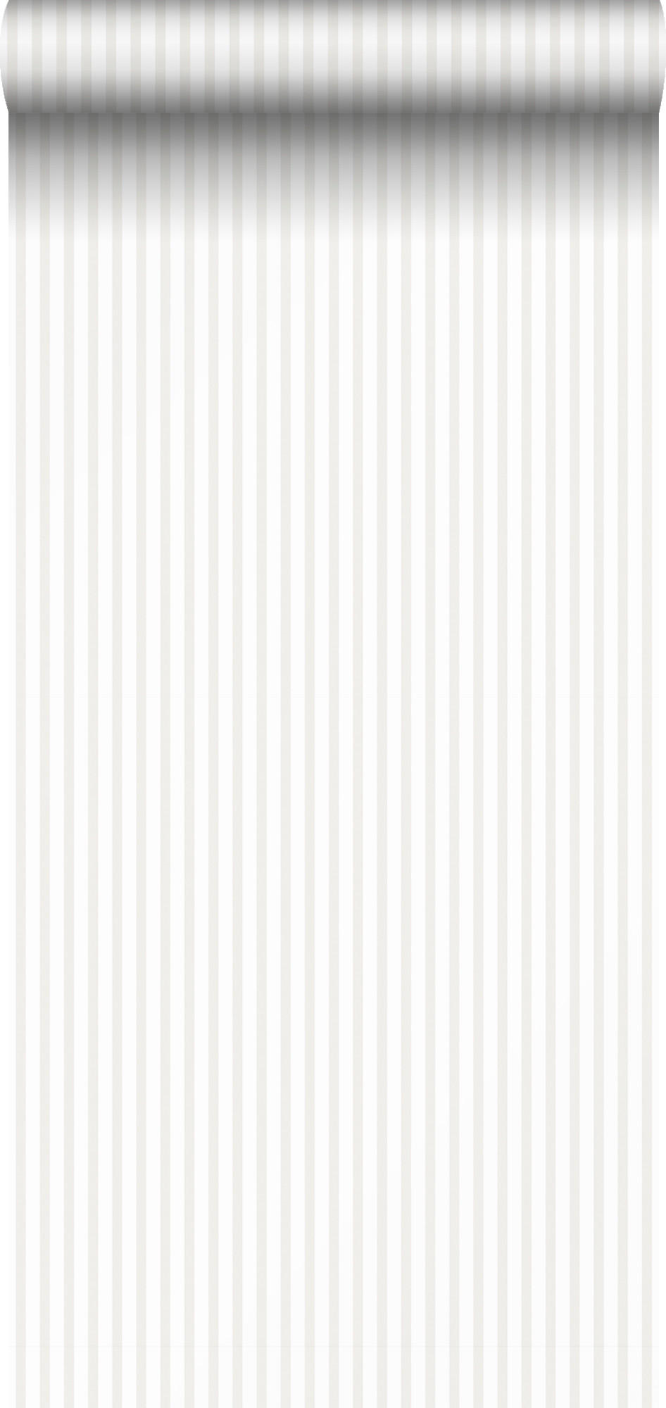TAPETE Streifen 53 cm x 10 m - Grau, Papier (53/0.1cm) - Sanders & Sanders