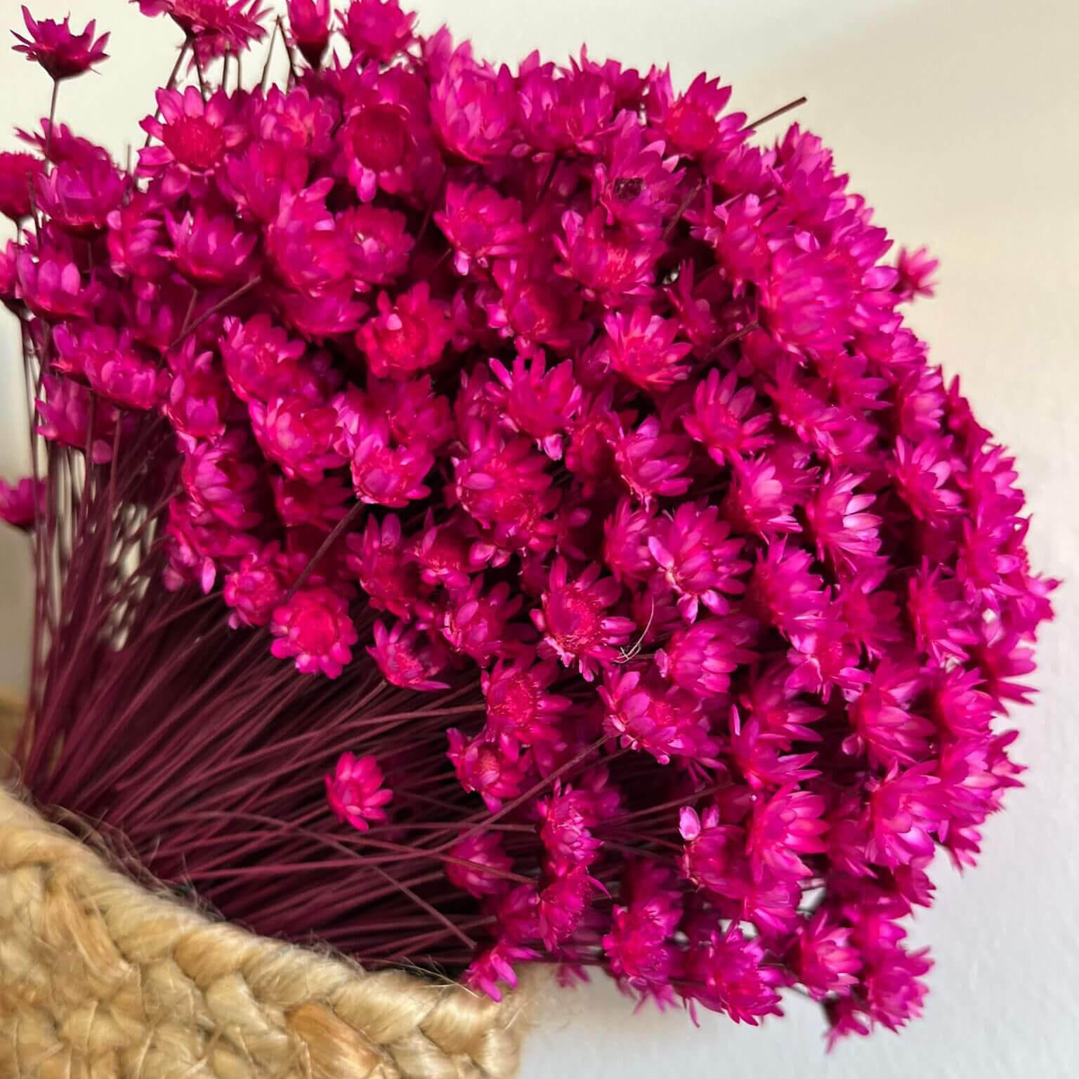 TROCKENBLUMEN Glixia Bund in Magenta - Pink, Naturmaterialien (45cm) - Lykke & You