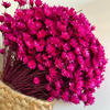 TROCKENBLUMEN Glixia Bund in Magenta - Pink, Naturmaterialien (45cm) - Lykke & You